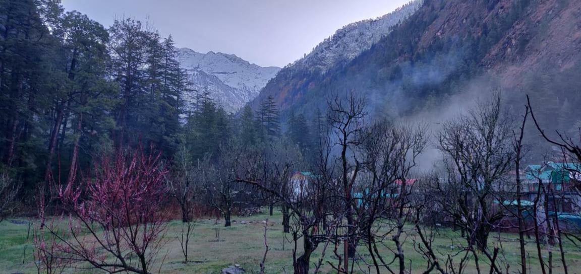 The Royal Orchard Kasol 호텔 외부 사진