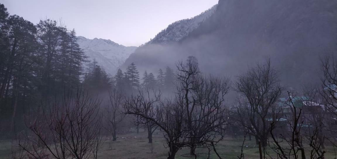 The Royal Orchard Kasol 호텔 외부 사진
