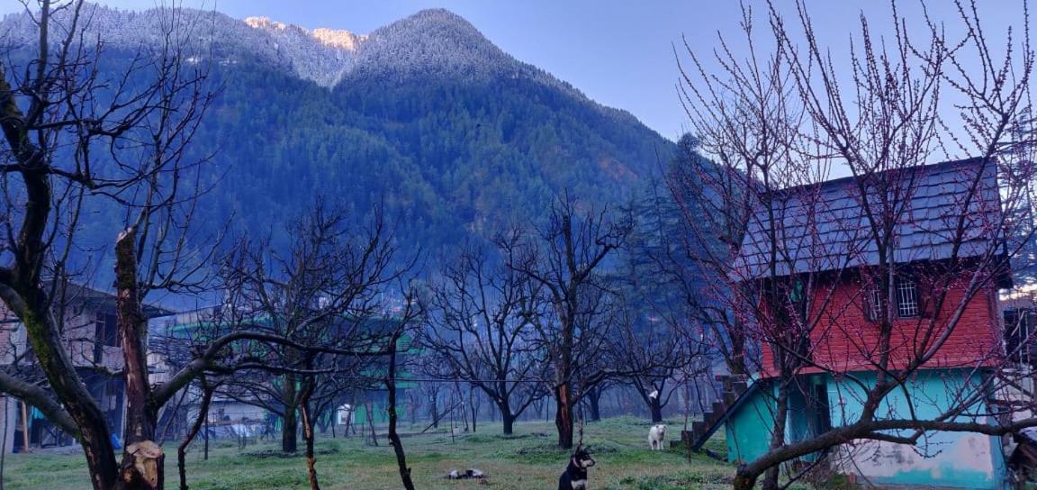 The Royal Orchard Kasol 호텔 외부 사진